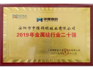 2019年金屬硅行業20強